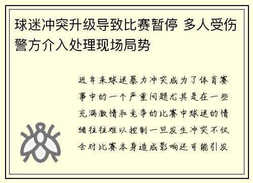 球迷冲突升级导致比赛暂停 多人受伤警方介入处理现场局势