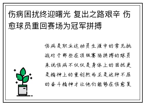 伤病困扰终迎曙光 复出之路艰辛 伤愈球员重回赛场为冠军拼搏